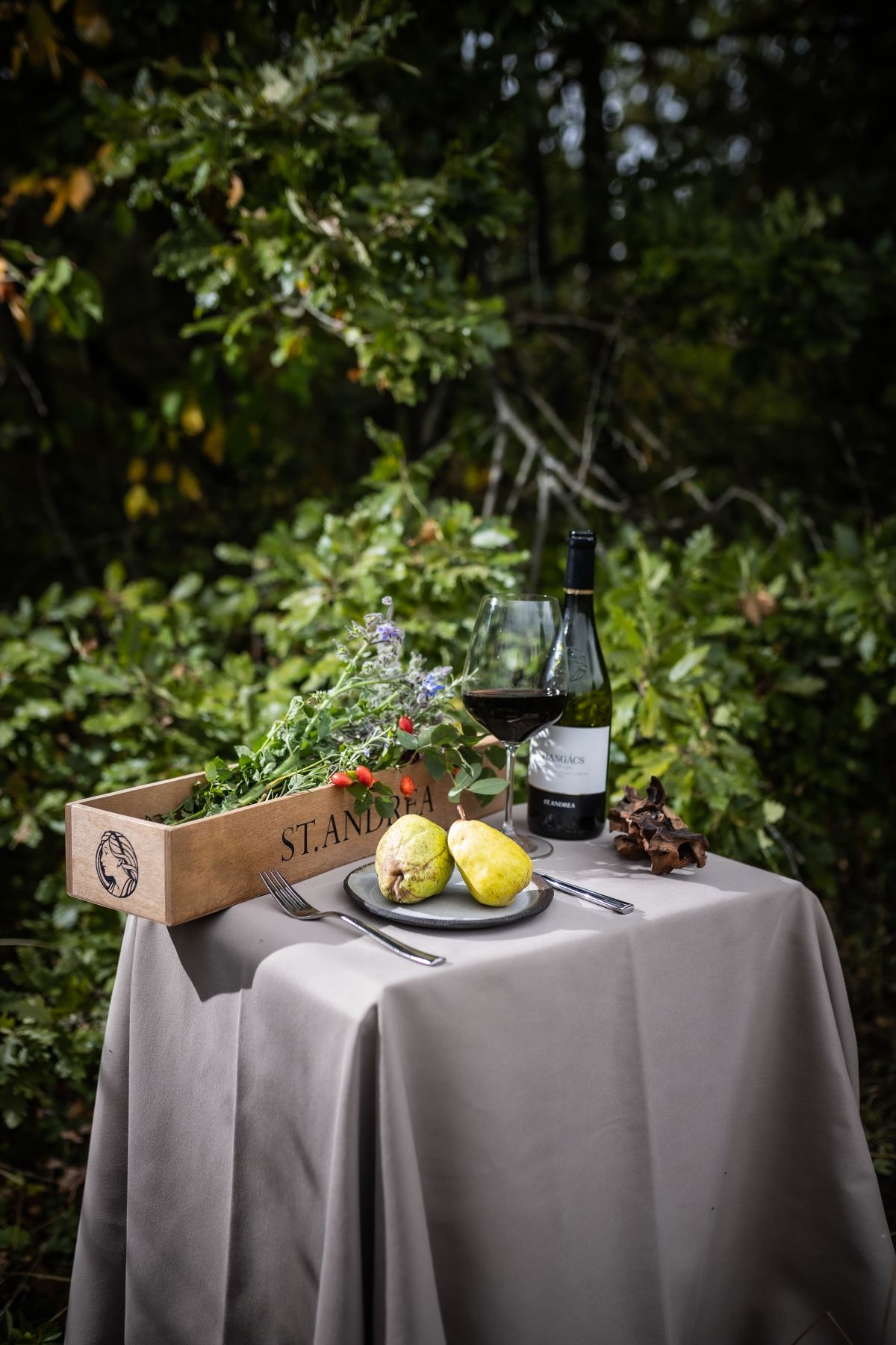 Erdők és mezők kincse a St. Andrea étteremben: bemutatkozott Kollár Endre séf